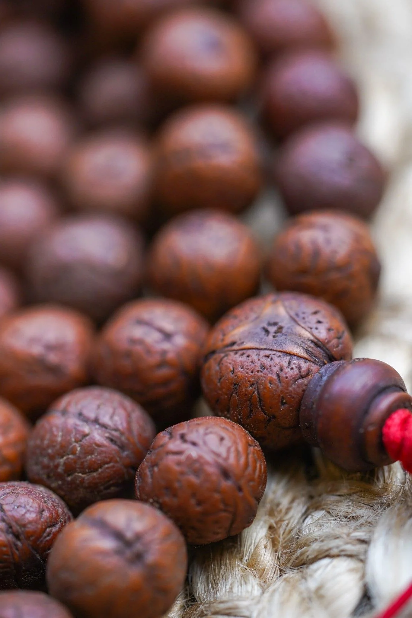 Antique Dark Bodhi Bead Mala - Image 6